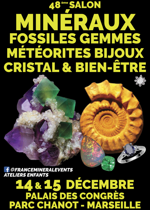 48e MineralenshowEvent Marseille