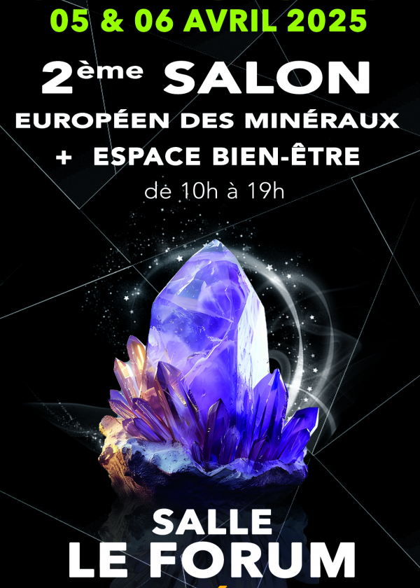 Europese tentoonstelling van mineralen en creaties - welzijnsruimte