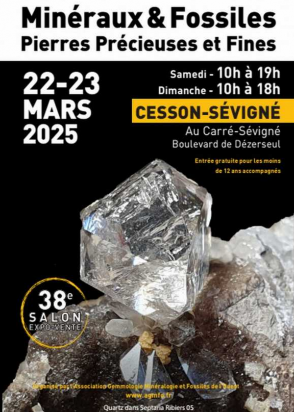 38e AGMFO Mineralenshow