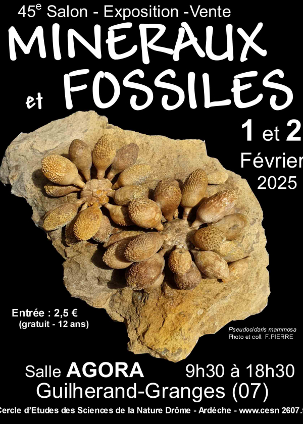 45e Guilherand-Granges Mineralen en Fossielen Exchange