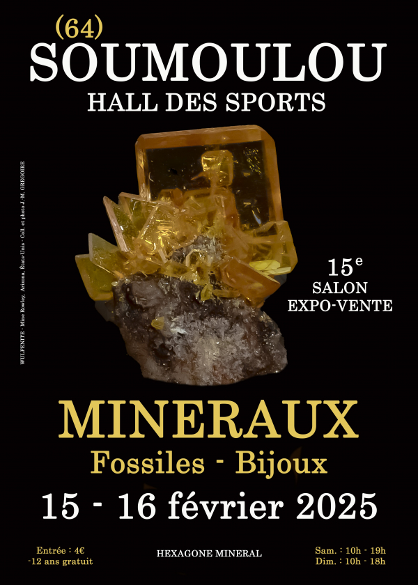 15e Soumoulou-show voor minerale fossiele sieraden