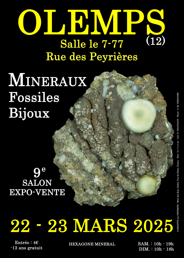 9e TENTOONSTELLING VAN FOSSIELE MINERALEN SIERADEN