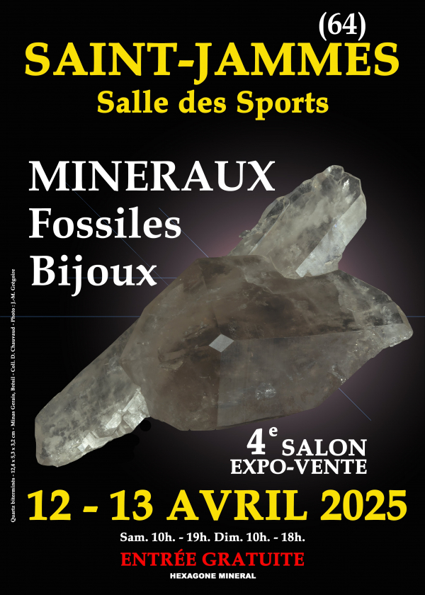 4e MINERALE FOSSIELEN SIERADEN SHOW