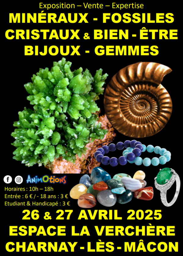 Mineralen, fossielen, kristallen en welzijn, sieraden- en edelstenenbeurs Mineralen, fossielen, kristallen en welzijn, sieraden- en edelstenenbeurs
