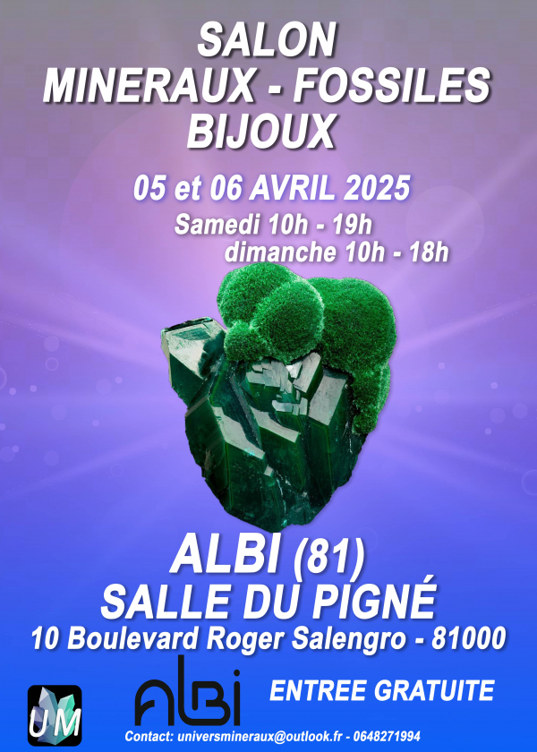 Tentoonstelling van mineralen, fossielen en designjuwelen.