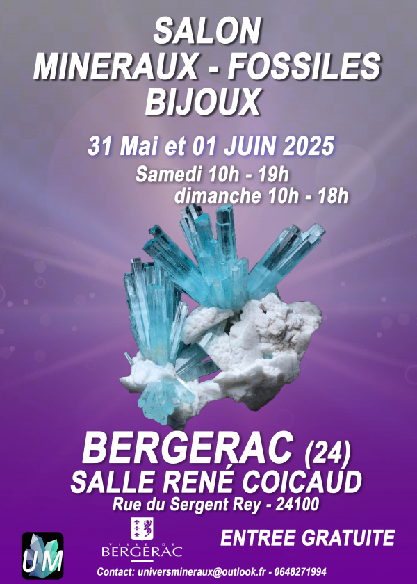 Tentoonstelling van mineralen, fossielen en designsieraden.