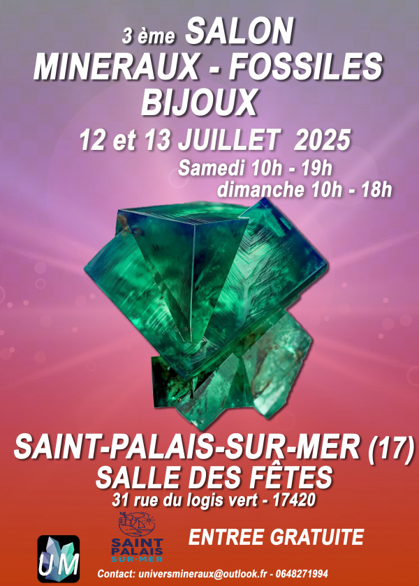 Tentoonstelling van mineralen, fossielen en designjuwelen.