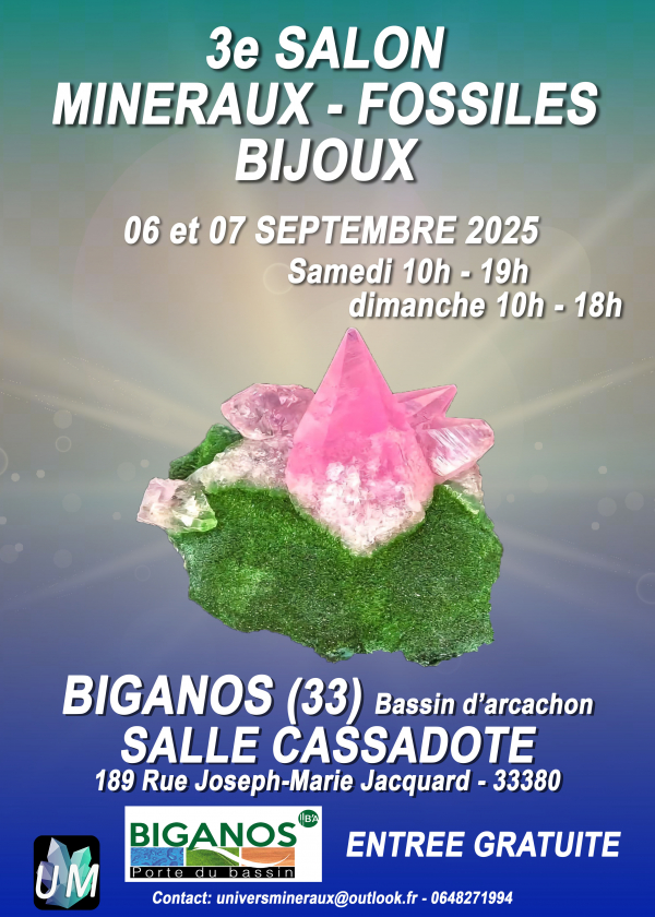 Tentoonstelling van mineralen, fossielen en designjuwelen.