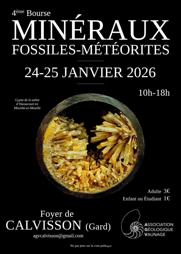 4e Mineralen-, Fossielen- en Meteorietbeurs