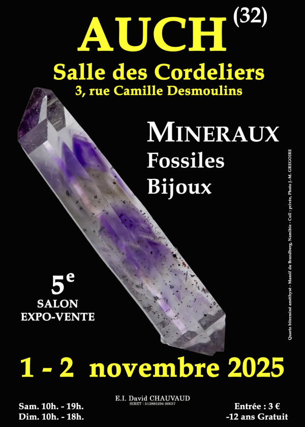 5e MINERALEN FOSSIELEN SIERADENSHOW