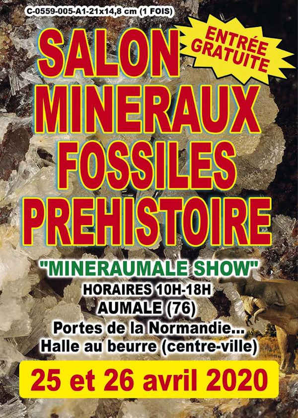 5e beurs Prehistorische mineralen en fossielen tentoonstelling
