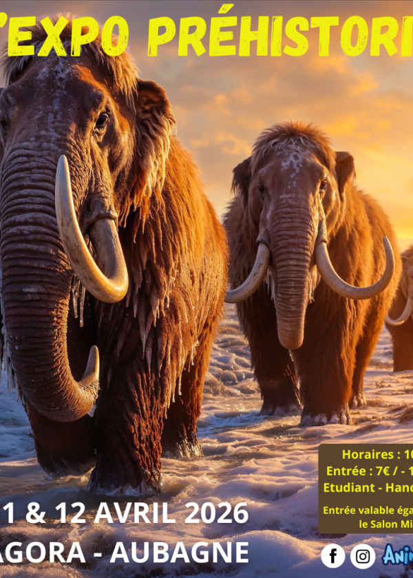 De Prehistorische Expo