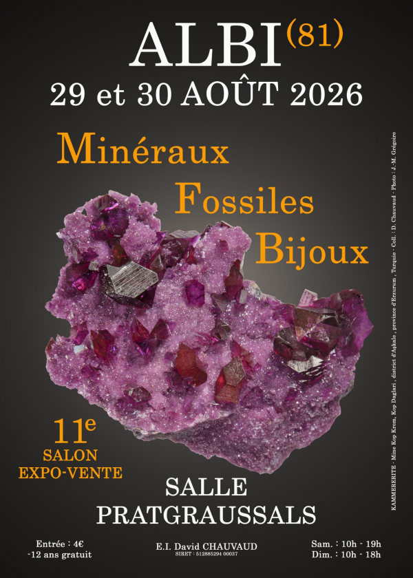 11e Mineralen-, Fossielen- en Sieradenbeurs