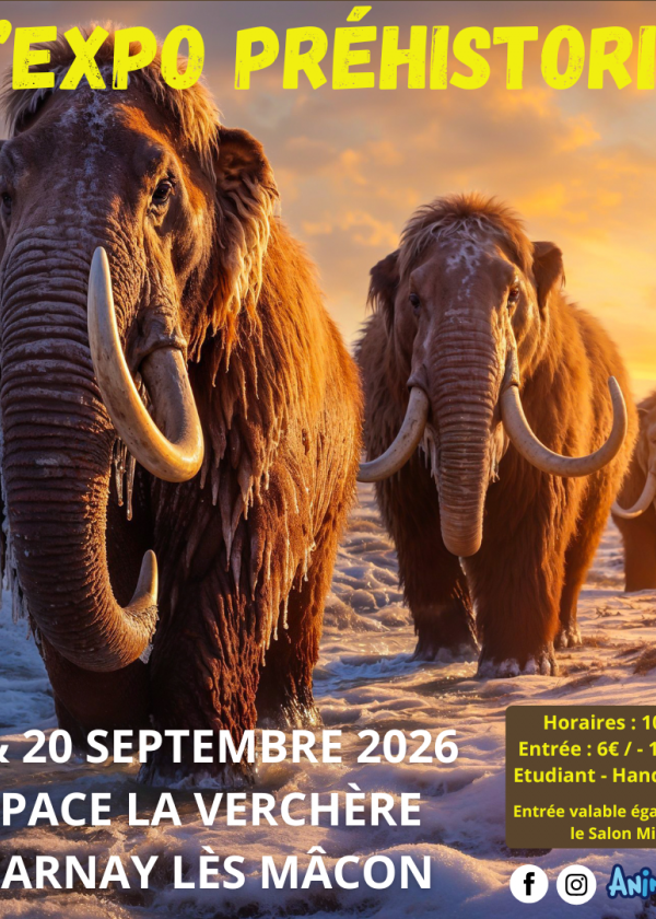De prehistorische tentoonstelling