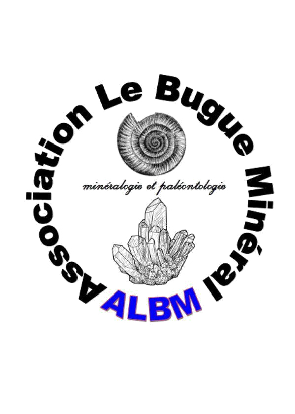 Uitwisseling van mineralen en fossielen