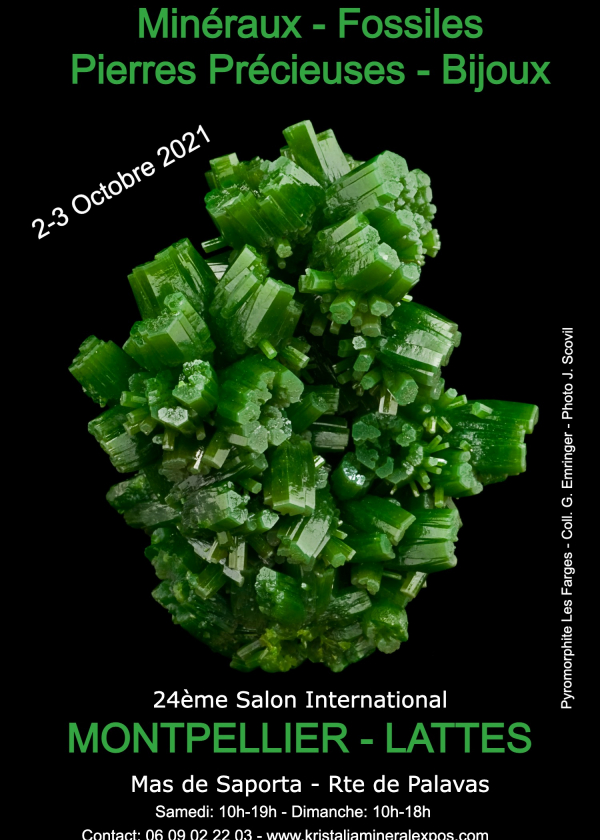 24e internationale sieradenbeurs voor fossiele mineralen