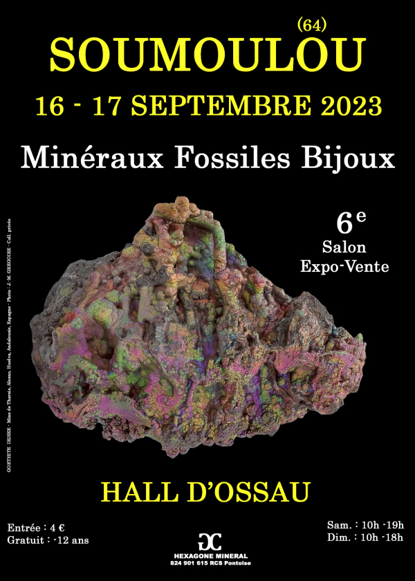 6e Soumoulou Fall Sieraden Fossiele Mineralen Fair
