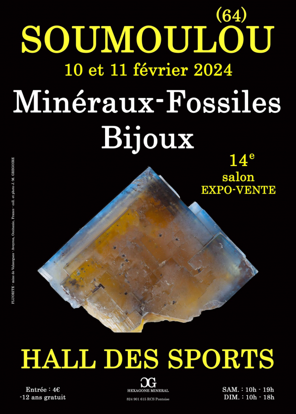 14e tentoonstelling over minerale fossielenjuwelen