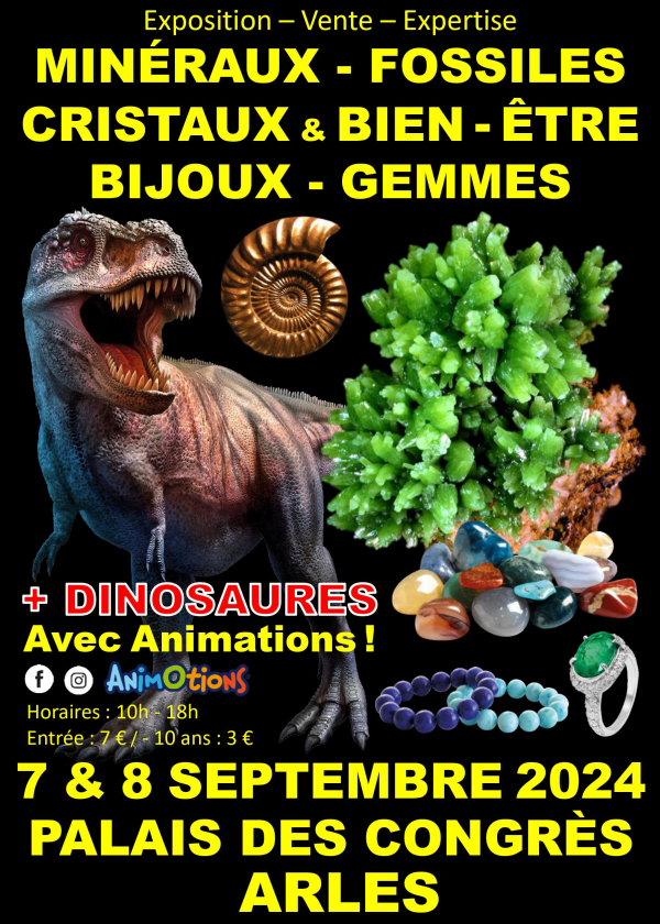 Mineralen Fossielen Kristallen & Welzijn Show Sieraden en Edelstenen + Dinosaurustentoonstelling Mineralen Fossielen Kristallen & Welzijn Show Sieraden en Edelstenen + Dinosaurustentoonstelling