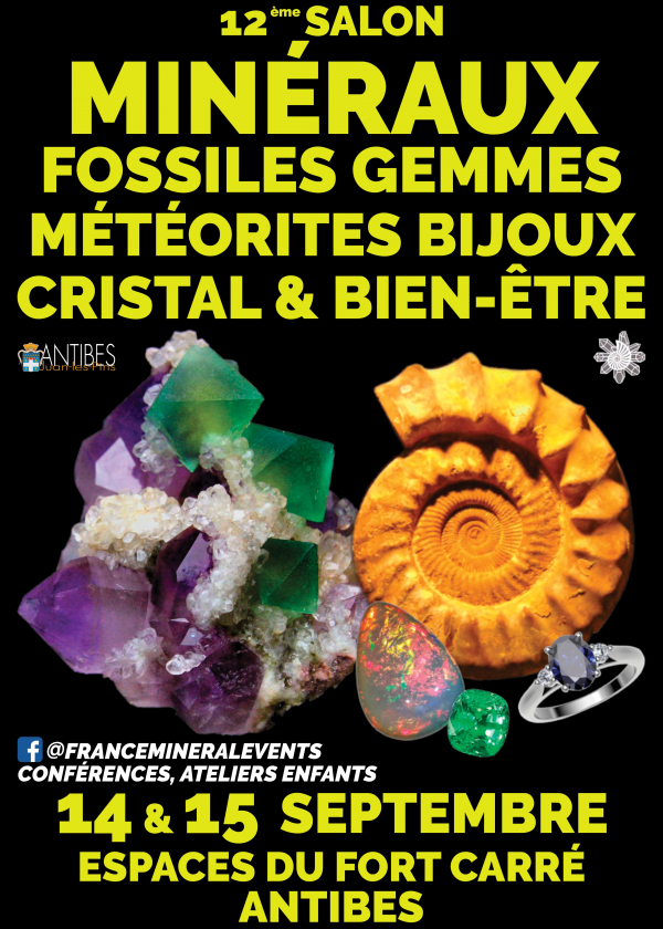 12e Mineral ShowAntibes-evenement - Mineralen, fossielen, edelstenen, sieraden, kristal en welzijn