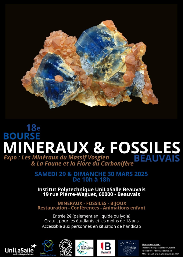 Beauvais Mineralen en Fossielen Exchange (18e editie)