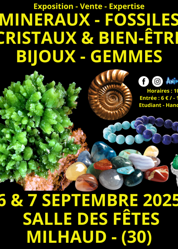 Beurs voor mineralen, fossielen, kristallen en welzijnsjuwelen en edelstenen in Nîmes
