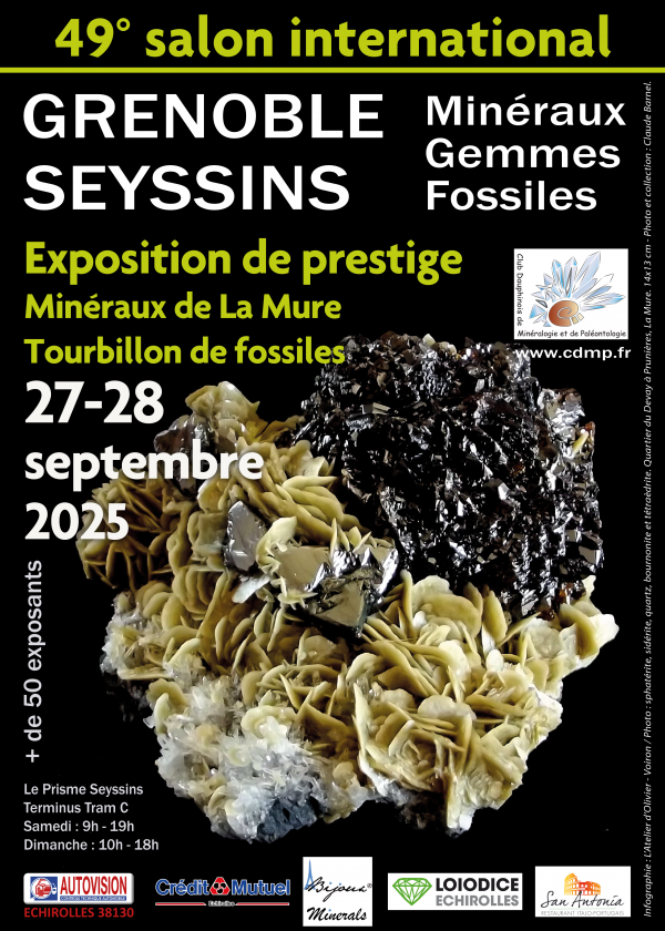 Internationale tentoonstelling over edelstenen, mineralen en fossielen Internationale tentoonstelling over edelstenen, mineralen en fossielen