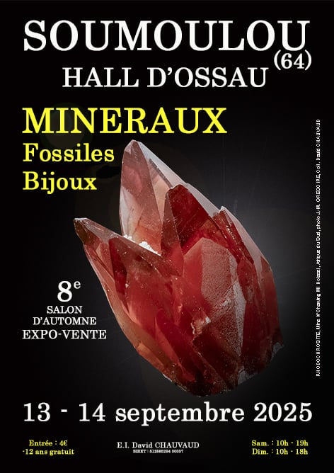 8e herfst Mineralen, Fossielen, Sieradenbeurs