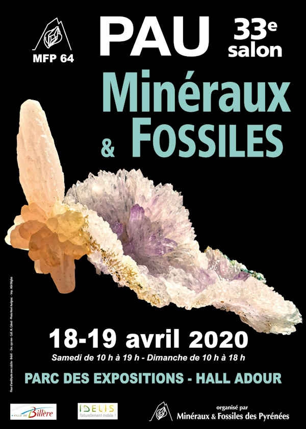 33e show voor mineralen en fossielen