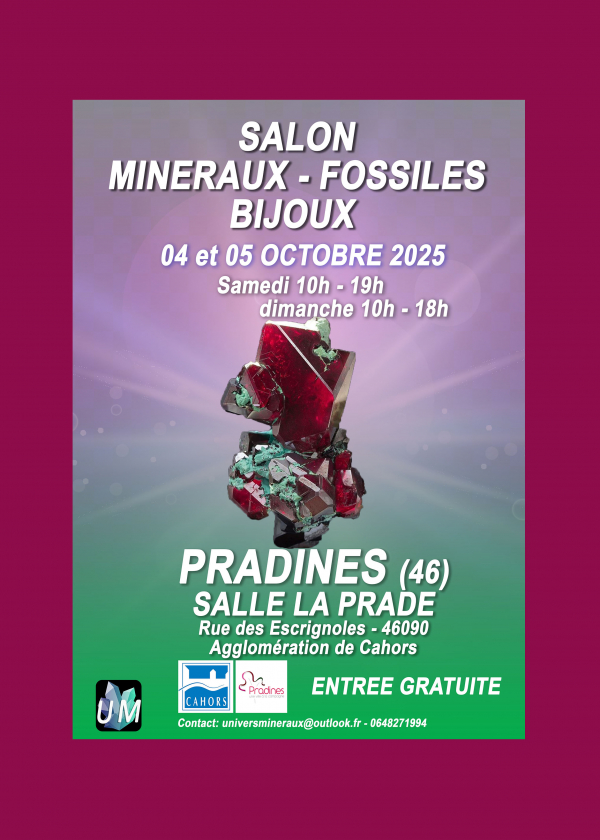 Tentoonstelling van mineralen, fossielen en designjuwelen.