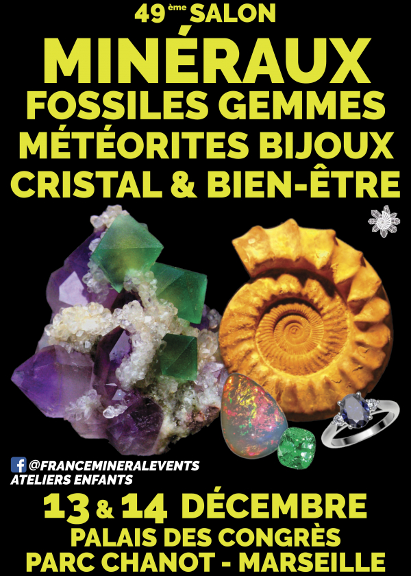 49e Marseille Mineralenbeurs