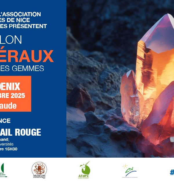 40e Mineralen-, Fossielen- en Edelsteenbeurs