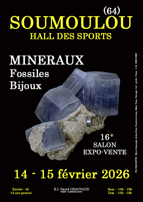 16e Mineralen-, Fossielen- en Sieradenbeurs