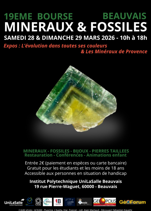 Mineralen- en fossielenruil