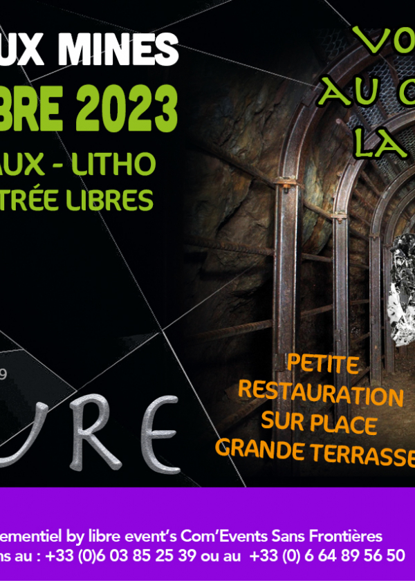 7e Europese veiling van mineralen en litho