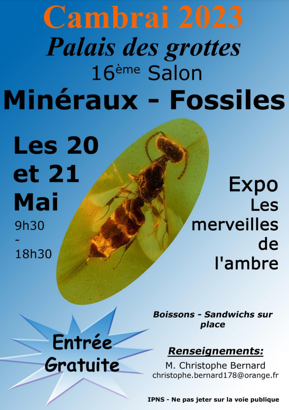 17e AGC Mineralen- en Fossielenbeurs. Gratis toegang van 9.30 tot 18.30 uur