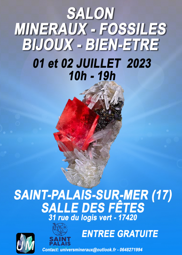 Mineralen, fossielen, designerjuwelen en welzijnsbeurs.