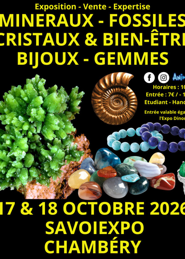 7e Mineralen-, Fossielen- en Kristallenbeurs