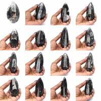Fossiel van Orthoceras uit Marokko Fossiel van Orthoceras uit Marokko