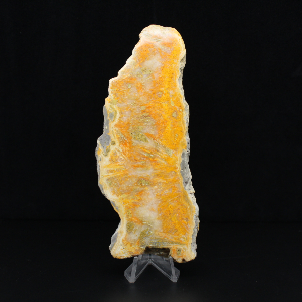 Hommeljaspisplaquette uit Indonesië