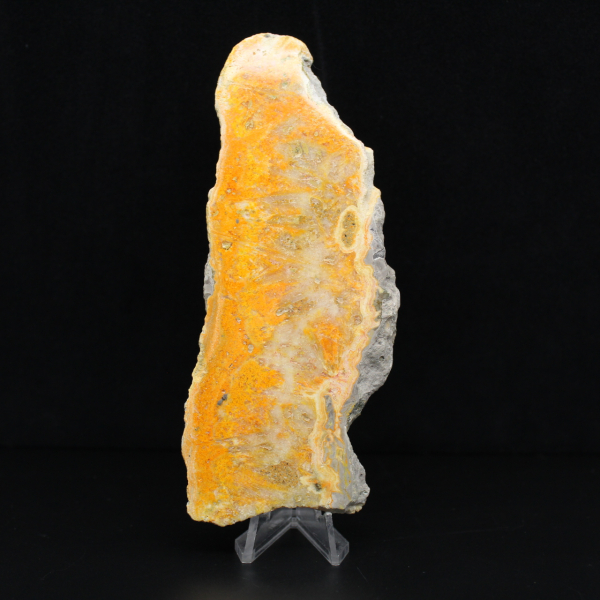 Hommeljaspisplaquette uit Indonesië