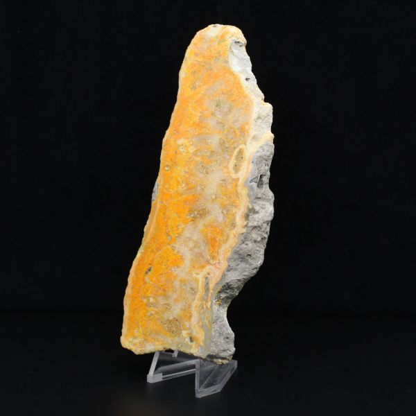 Hommeljaspisplaquette uit Indonesië