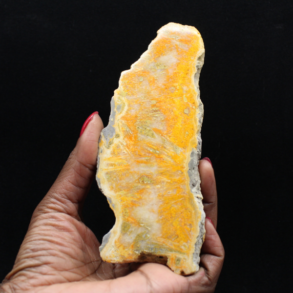 Hommeljaspisplaquette uit Indonesië