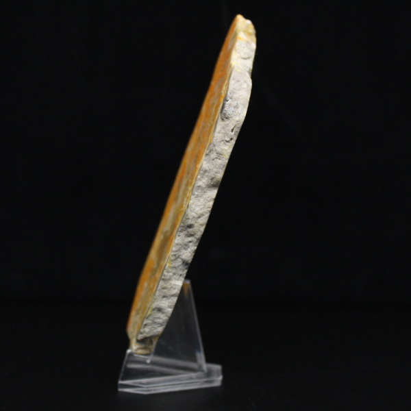 Gepolijst exemplaar van vulkanische hommeljaspis