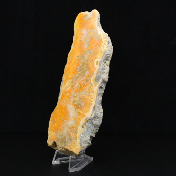 Hommeljaspisschijf - Verzamelkwaliteit