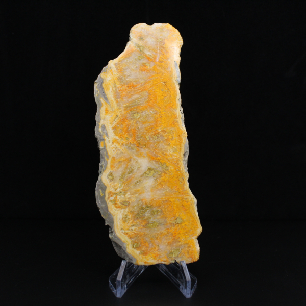 Hommeljaspisschijf - Verzamelkwaliteit