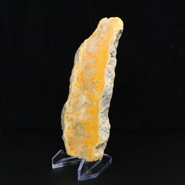 Hommeljaspisschijf - Verzamelkwaliteit