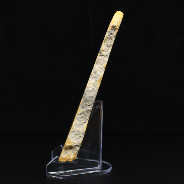 Hommeljaspisschijf - Verzamelkwaliteit