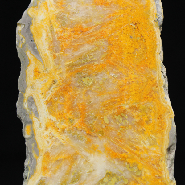 Hommeljaspisschijf - Verzamelkwaliteit