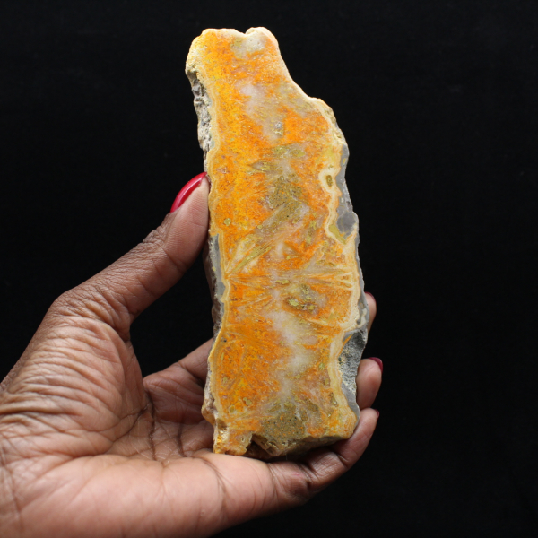 Hommeljaspisschijf - Verzamelkwaliteit